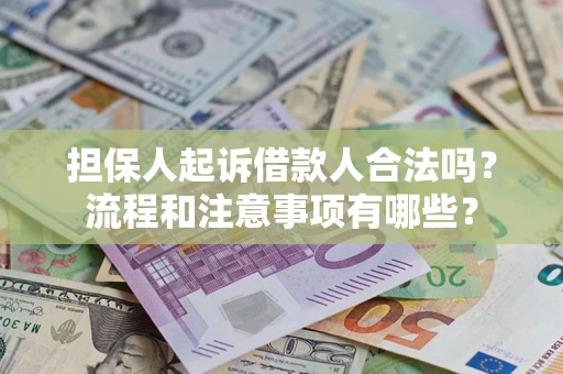 武汉担保人起诉借款人合法吗？流程和注意事项有哪些？