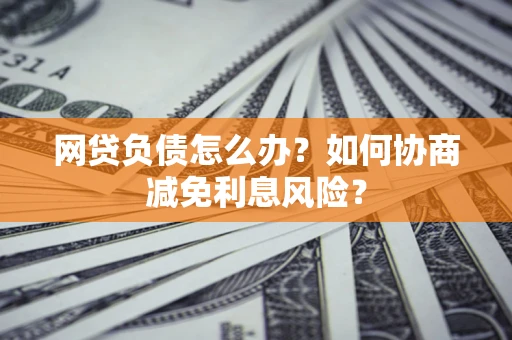 武汉网贷负债怎么办？如何协商减免利息风险？