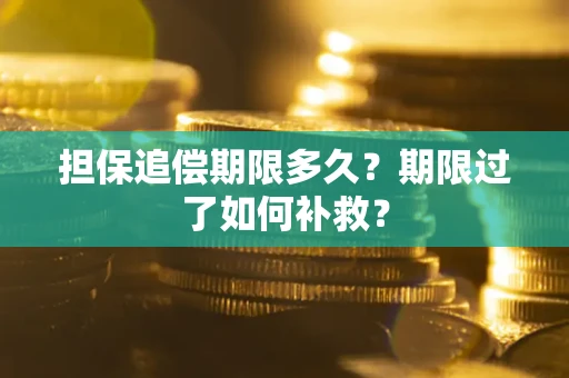 武汉担保追偿期限多久？期限过了如何补救？