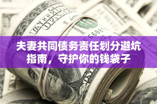 武汉夫妻共同债务责任划分避坑指南，守护你的钱袋子