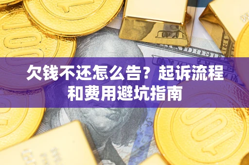 武汉欠钱不还怎么告？起诉流程和费用避坑指南