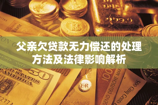 武汉父亲欠贷款无力偿还的处理方法及法律影响解析