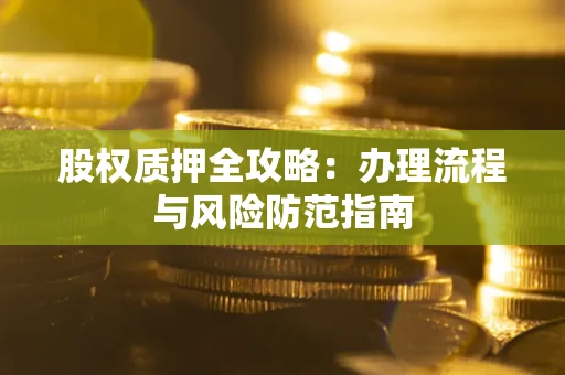 武汉股权质押全攻略：办理流程与风险防范指南