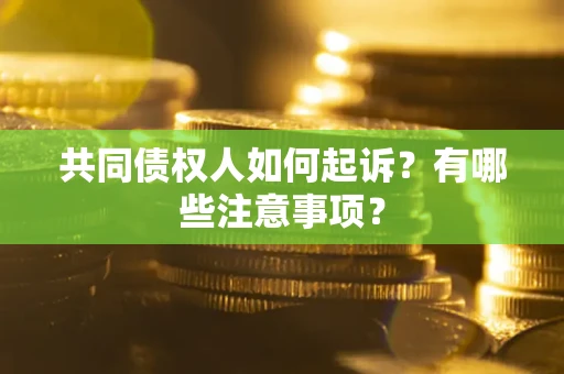 武汉共同债权人如何起诉？有哪些注意事项？
